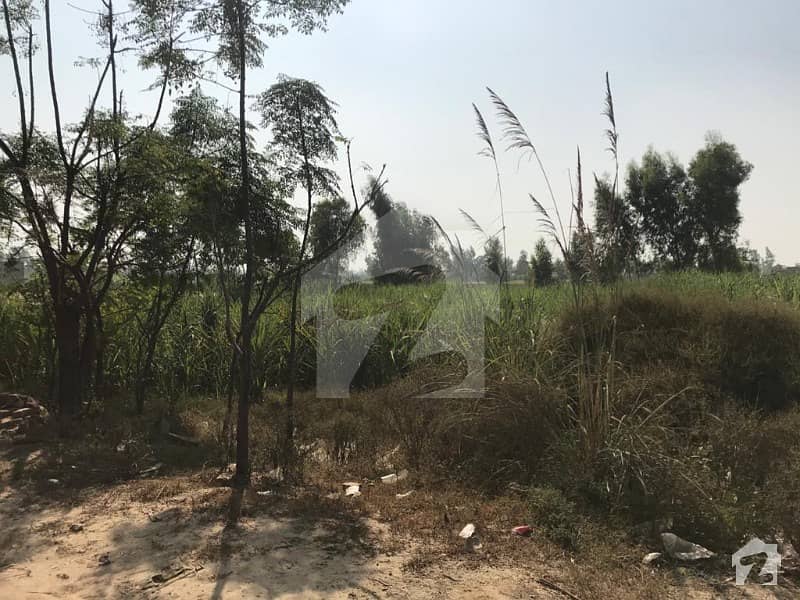 111 Marla  Commericial Land For Sale In Main Raiwind Kasur Road Raja Jung Kasur Punjab