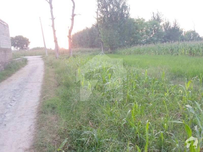 Agriculture Land & Also A Good Place To Build A House For Sale