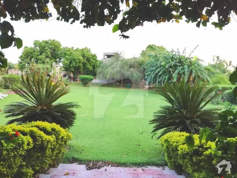 45000  Square Feet Farm House Available For Sale In Bedian Road