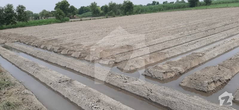 Centrally Located Agricultural Land Is Available For Sale In Mailsi - Vehari Road