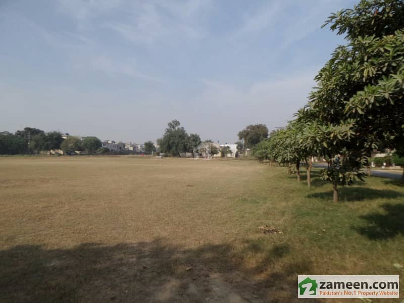 Commercial Plot Is Available For Sale