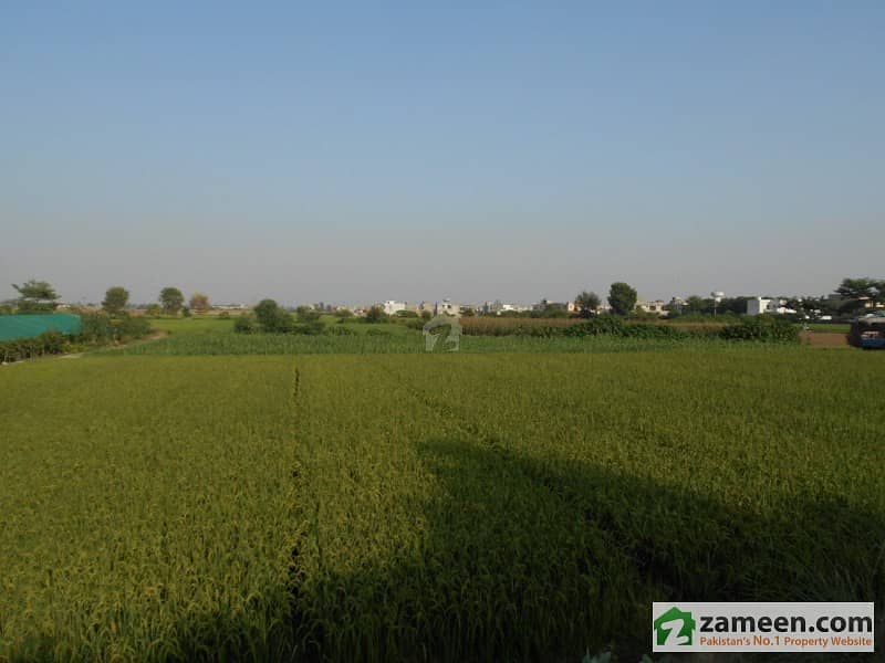 Agriculture Land For Sale