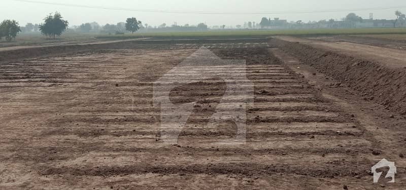 900  Square Feet Residential Plot In Qila Didar Singh For Sale At Good Location
