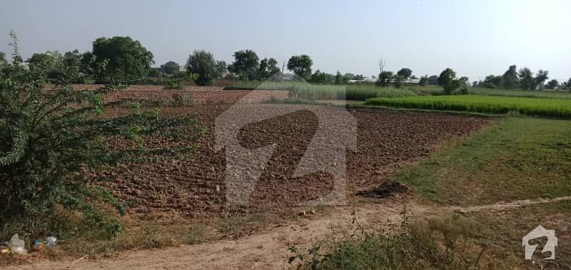 مانگا منڈی لاہور میں 7 کنال زرعی زمین 3.5 کروڑ میں برائے فروخت۔