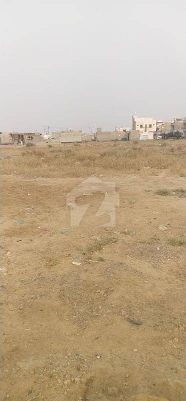 Plot For Sale Surjani Town Sector 14c