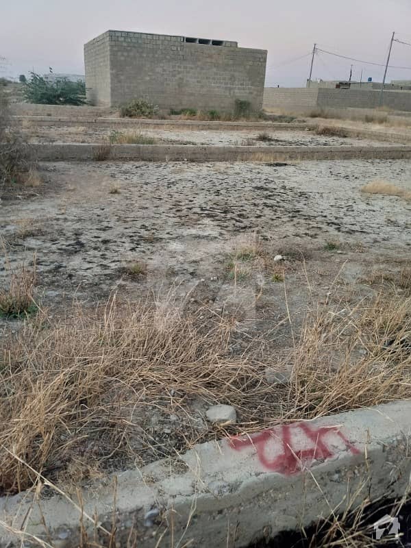 Arab Guddu Goth Plot For Sale Arab Guddu Goth Plot For Sale