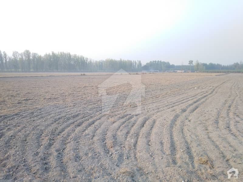 480 Marla Residential Plot In Central Chaghar Matti For Sale