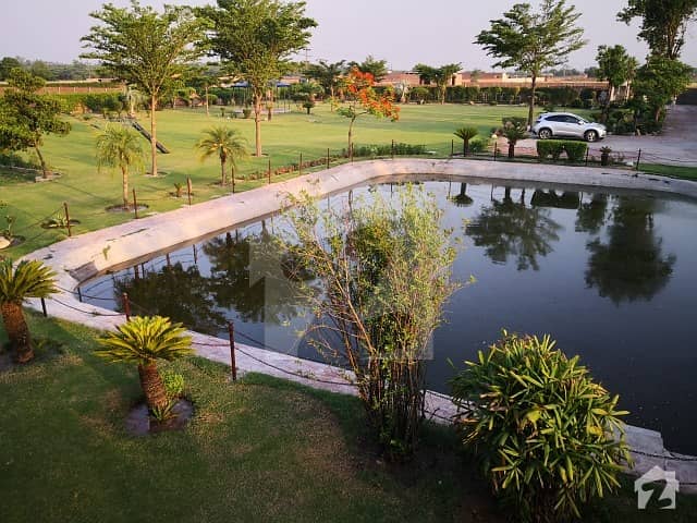 Al-Noor Resort Farmhouse Available For Marriage Events And Wedding Functions