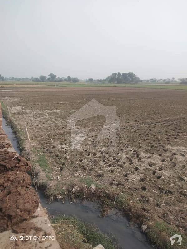نروار لاہور میں 32 کنال زرعی زمین 5 کروڑ میں برائے فروخت۔