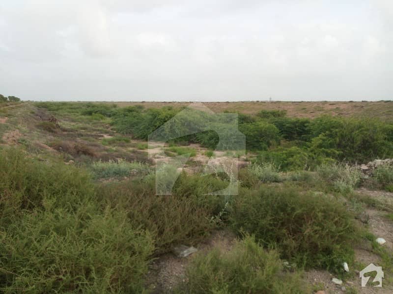 1350  Square Feet Residential Plot Up For Sale In Dha Defence