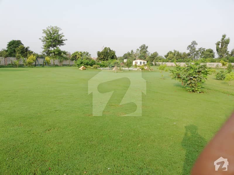 One Kanal Plot Number 42 K Block Ideal Plot Dha Raya  With Golf Corees