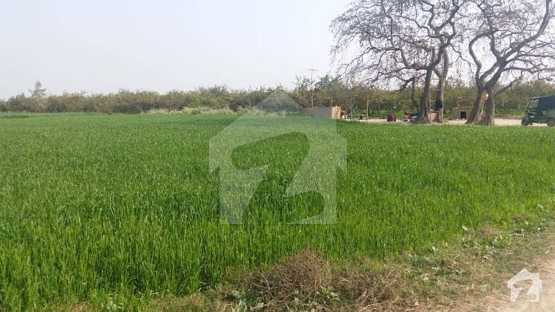 300 Kanal Agricultural Land Available For Sale At Kasur Bypass Sahari Road