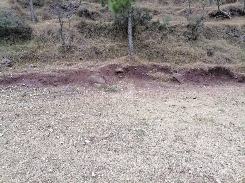 1 Kanal Residential Plot In Murree Expressway For Sale At Good Location