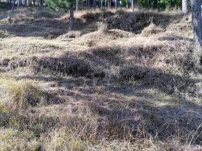 Murree Expressway Commercial Plot Sized 1 Kanal Murree Expressway Commercial Plot Sized 1 Kanal