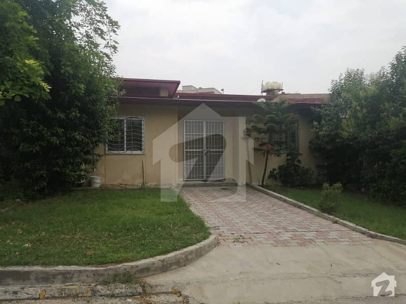 Single Storey House For Rent In Awami Villa 2 Bahria Town Phase 8