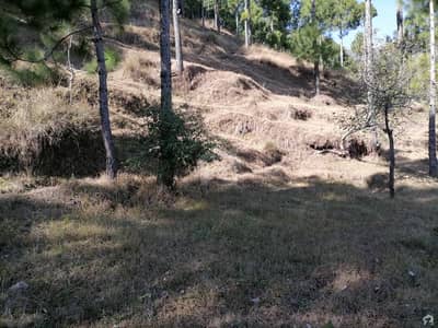 Residential Plot Sized 10 Marla Is Available For Sale In Murree Expressway Residential Plot Sized 10 Marla Is Available For Sale In Murree Expressway