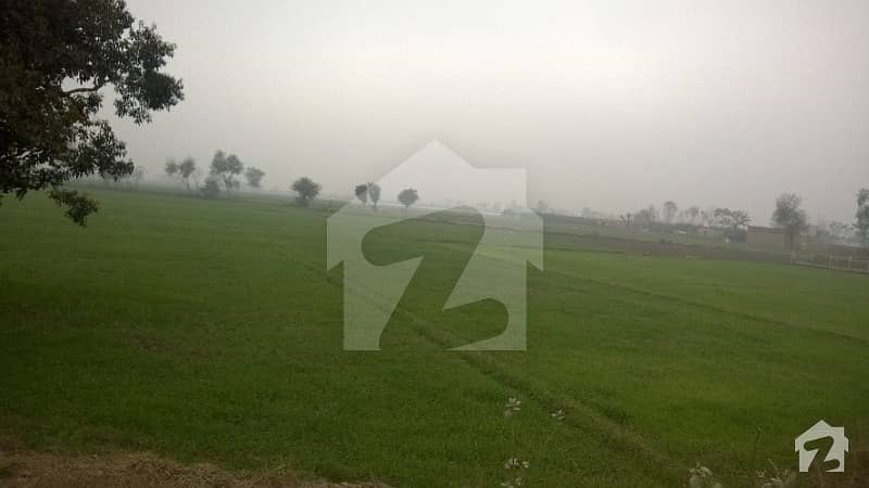 جڑاںوالا روڈ لاہور میں 136 کنال زرعی زمین 42.5 کروڑ میں برائے فروخت۔