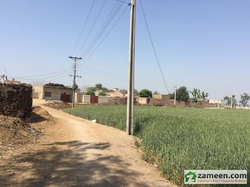 Agricultural Land For Sale