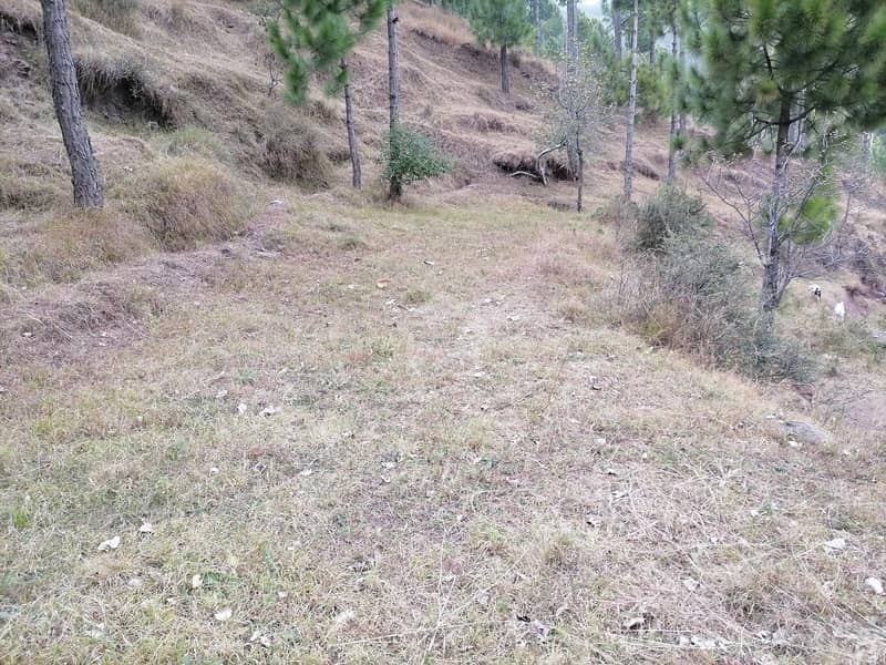 10 Marla Residential Plot Available For Sale In Murree Expressway