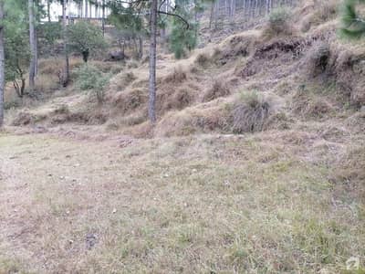 Spacious 10 Marla Residential Plot Available For Sale In Murree Expressway Spacious 10 Marla Residential Plot Available For Sale In Murree Expressway