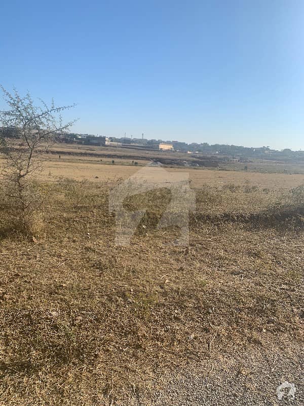 50x90 Plot For Sale In G14
