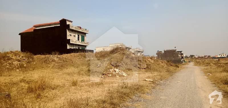 1000 Square Feet Plot Of Good Location For Sale