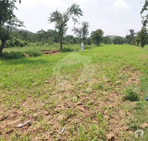 30 Marla Plot Is Available For Sale