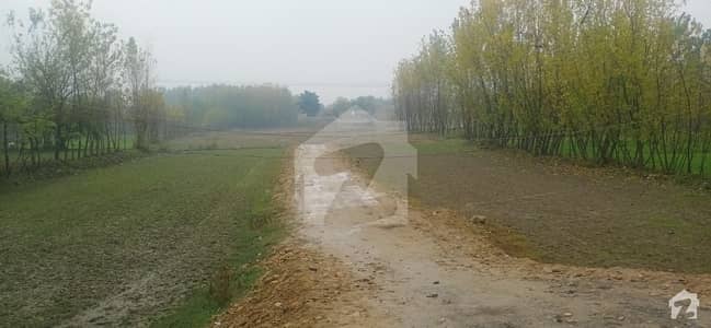 Residential Plot Available For Sale In Chaghar Matti