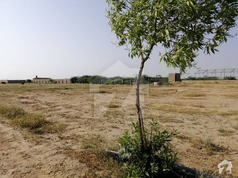 Plam Green Farmhouses  PLOTS  500100020003000 and 4000sqyd Scheme45 Gadap karachi