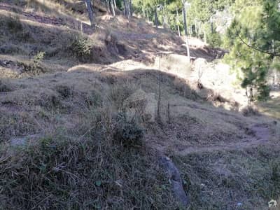 10 Marla Residential Plot Available For Sale In Murree Expressway 10 Marla Residential Plot Available For Sale In Murree Expressway
