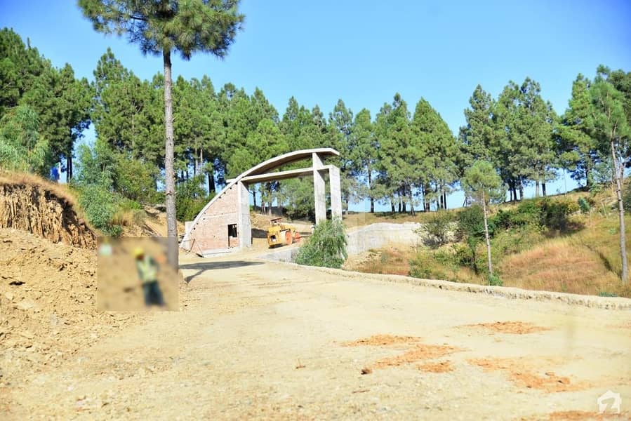 Gorgeous 2250  Square Feet Residential Plot For Sale Available In Shimla Pahari