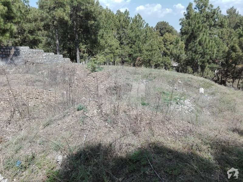 40 Marla Residential Plot Is Available In Shimla Pahari 40 Marla Residential Plot Is Available In Shimla Pahari