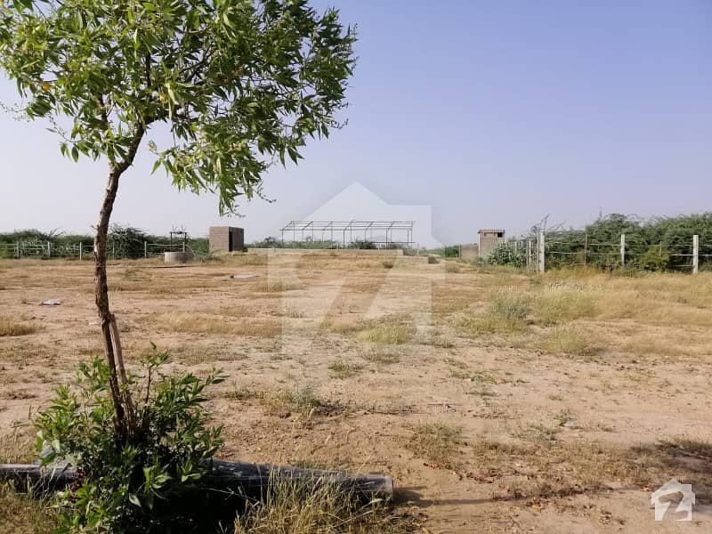 Plam Green Farmhouses  Plot Is 1000 Sqyd Scheme 45 Gadap Karachi