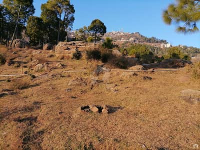 Gorgeous 10 Marla Residential Plot For Sale Available In Murree Expressway Gorgeous 10 Marla Residential Plot For Sale Available In Murree Expressway