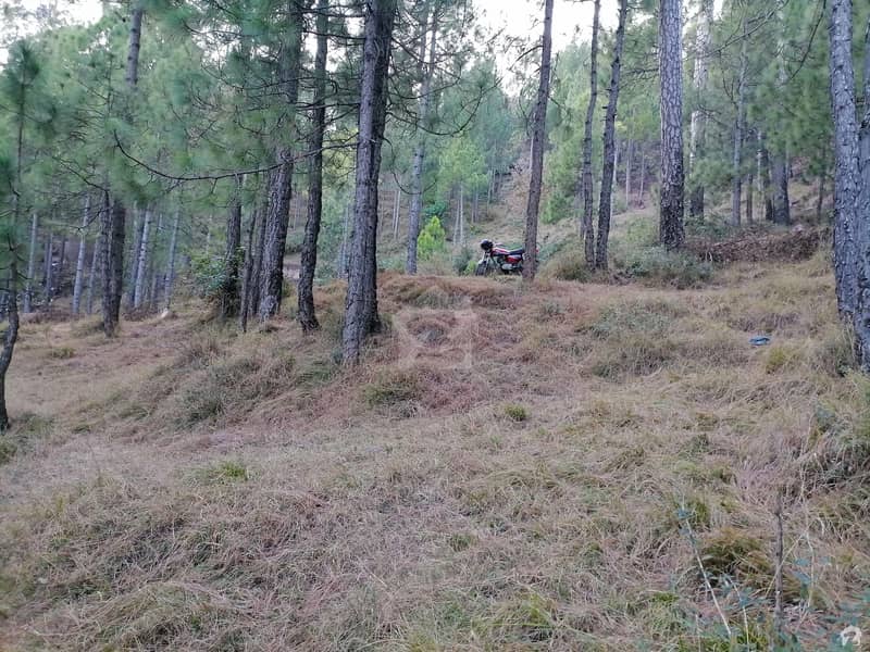 In Murree Expressway Residential Plot For Sale Sized 10 Marla