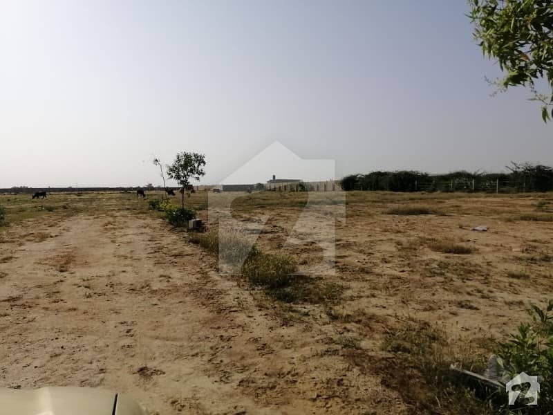 1000  Square Feet Agricultural Land Up For Sale In Gulistan-E-Jauhar