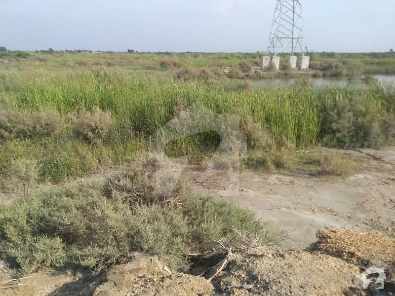 110 Acre Agricultural Land At Main Sindh Coastal Highway