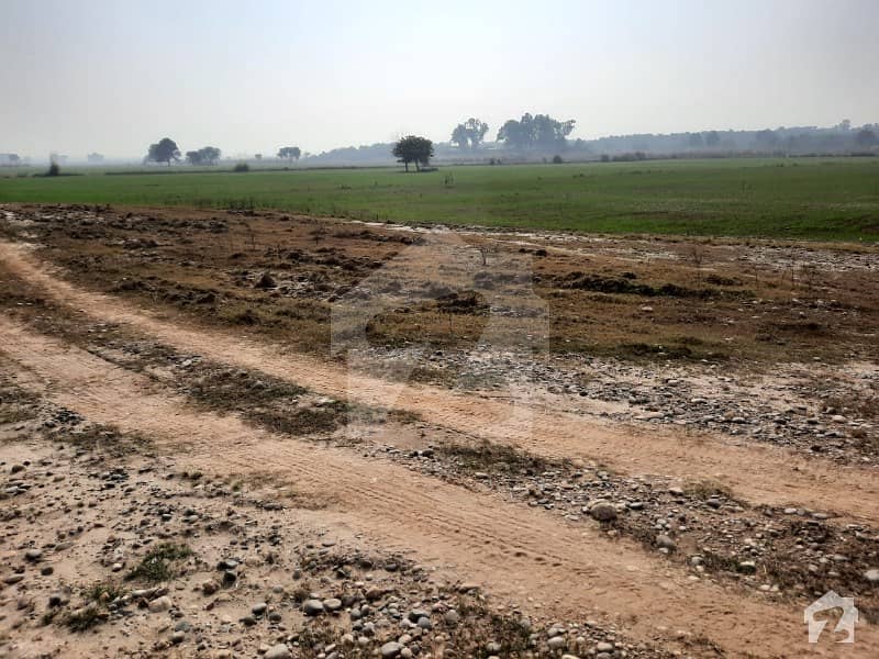 چکری روڈ راولپنڈی میں 210 کنال زرعی زمین 3.89 کروڑ میں برائے فروخت۔