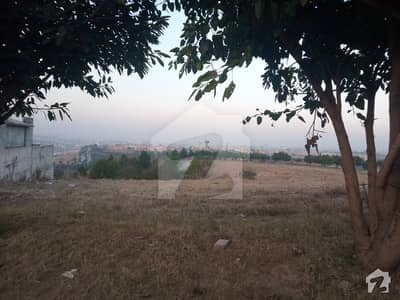 Commercial Plot On Main Service Road For Sale At Khanna Pul