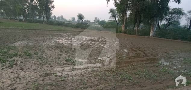 20 Kanal  Agriculture Land  For Sale Near Hp City