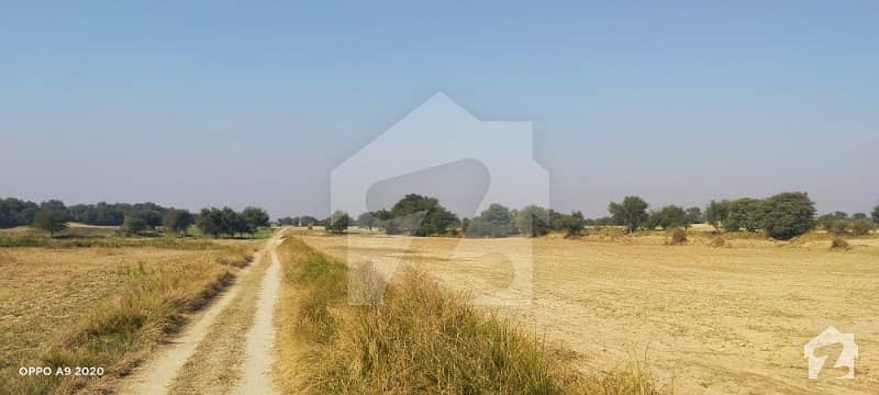 70  Kanal Agriculture Land Dullah Chakwal