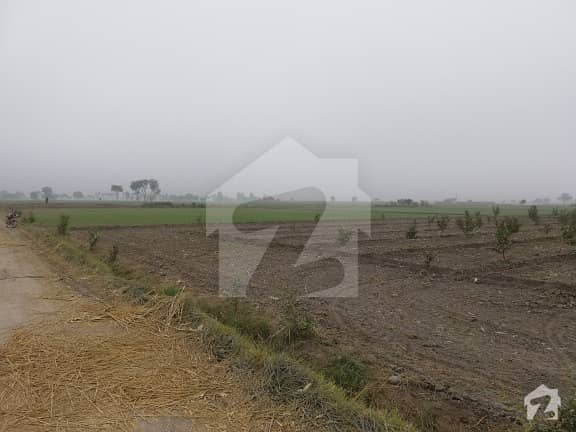 Agricultural Land Sized 360000  Square Feet For Sale