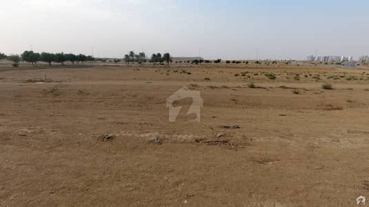Flat Is Available For Sale Flat Is Available For Sale