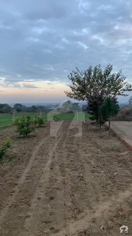 36 Kanal Land For Sale Near New Islamabad Airport