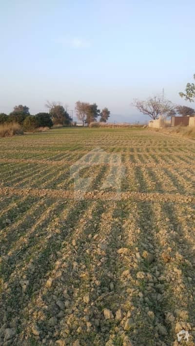 8 Kanal Agricultural Land For Sale