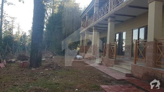 Forest View Lower Portion Of House For 1 Year Rent Only