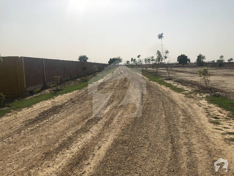 برکی روڈ کینٹ لاہور میں 64 کنال زرعی زمین 14.4 کروڑ میں برائے فروخت۔