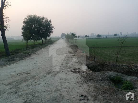 بیدیاں روڈ لاہور میں 8 کنال زرعی زمین 1.2 کروڑ میں برائے فروخت۔