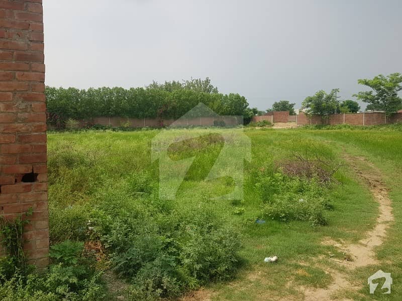 7 Kanal Farm House land for Sale Tarar road