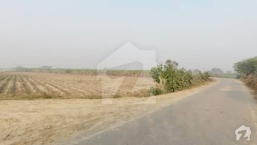 فیروزپور روڈ لاہور میں 12 کنال زرعی زمین 2.4 کروڑ میں برائے فروخت۔ فیروزپور روڈ لاہور میں 12 کنال زرعی زمین 2.4 کروڑ میں برائے فروخت۔